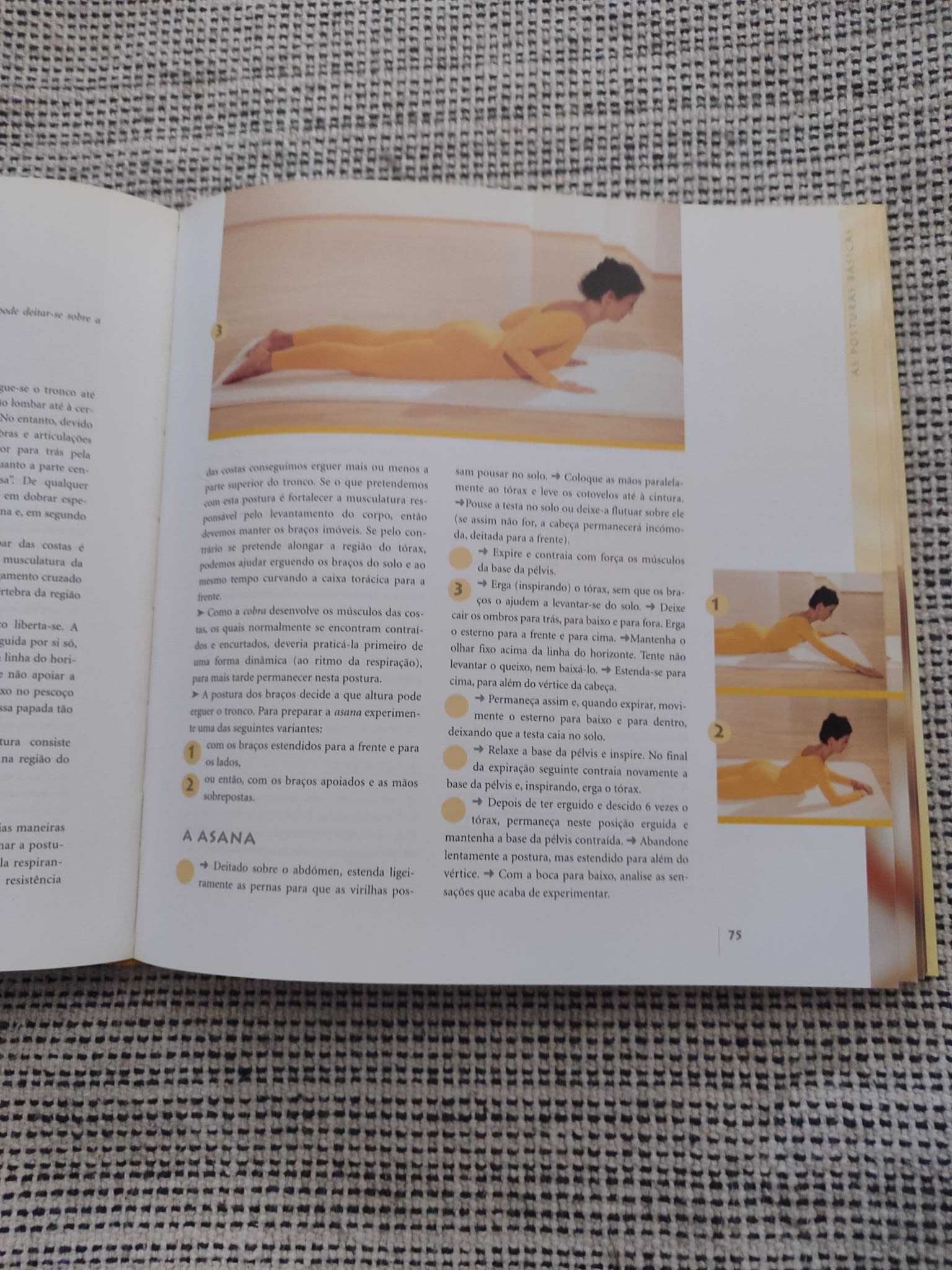 O grande livro do Yoga de Anna Trokes