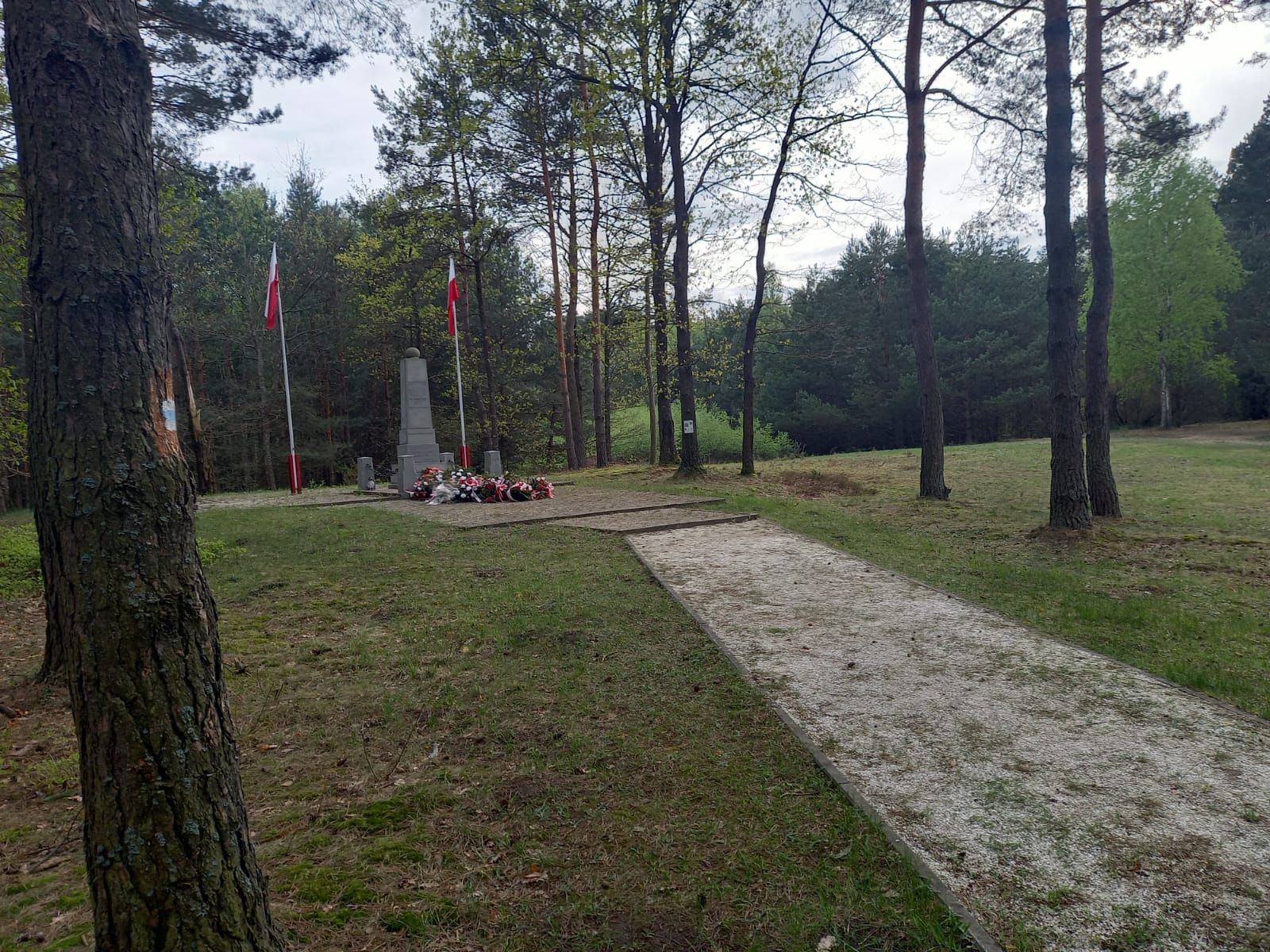 Działka rolno - leśna Borucza gm. Strachówka 1,33ha  BEZPOŚREDNIO