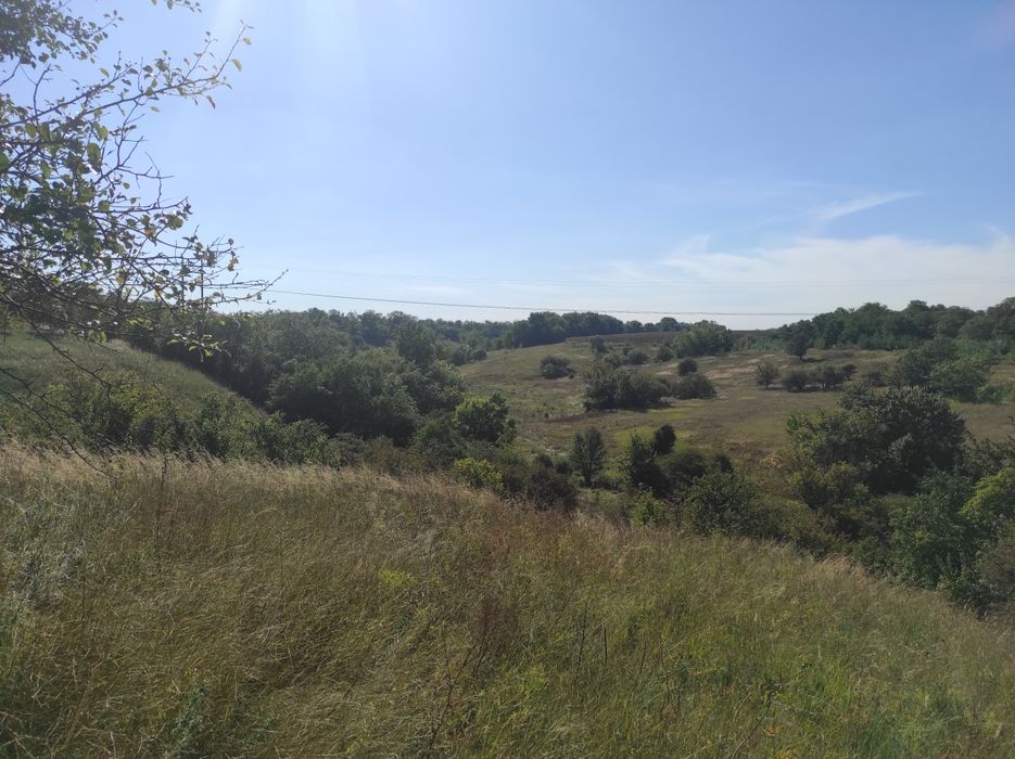 Дача на Ламаном, 6 соток