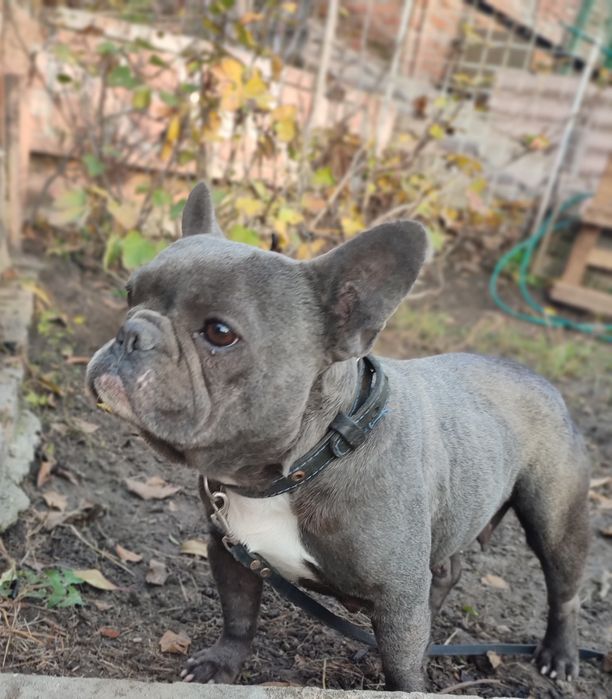 Дівчинка 3.5 роки