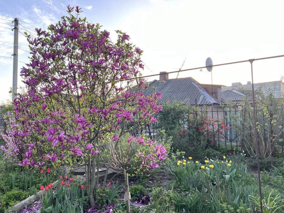 Продам будинок з ексклюзивною земельною ділянкою в центрі міста.