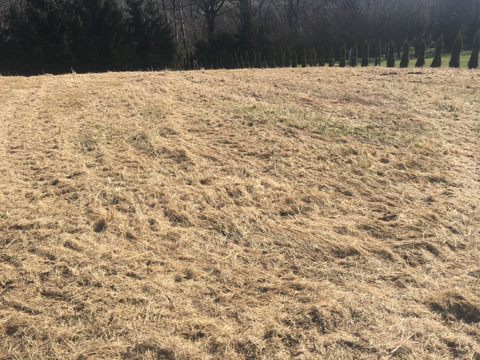 Koszenie molulczerem, mulczowanie traw, łąk, nieużytków,rowów,skarp