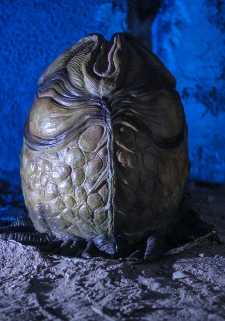 Ovo Alien Réplica Premium
