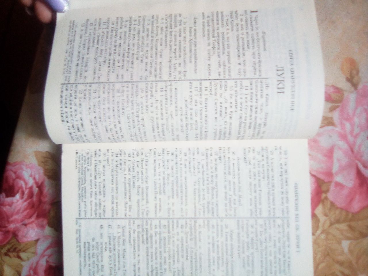 Книга Новий Заповiт та Псалми