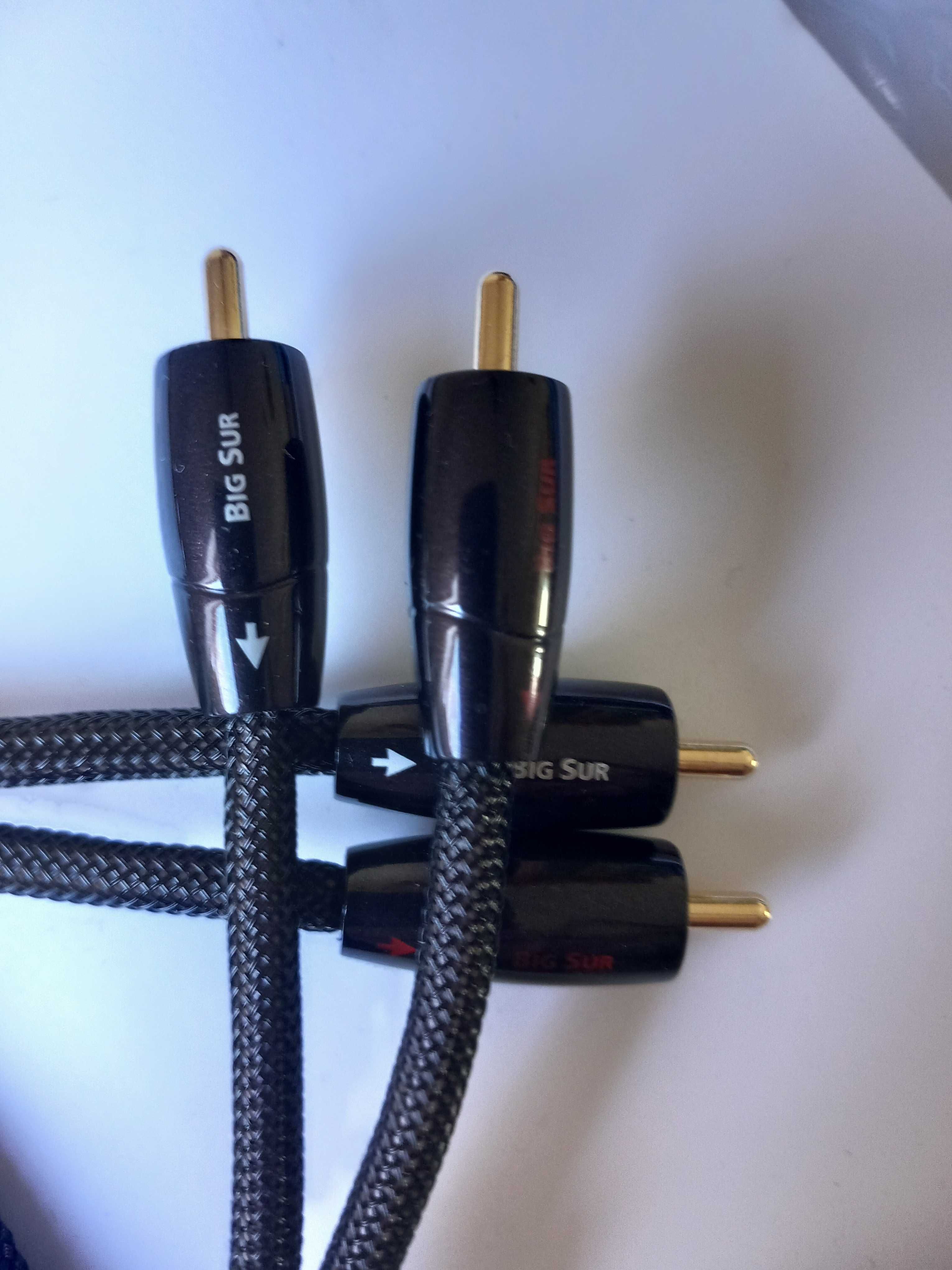 Audioquest Big Sur  2 x RCA 1 m