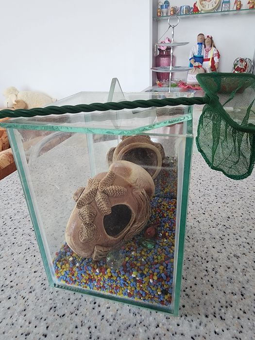 Акваріум міні з декором