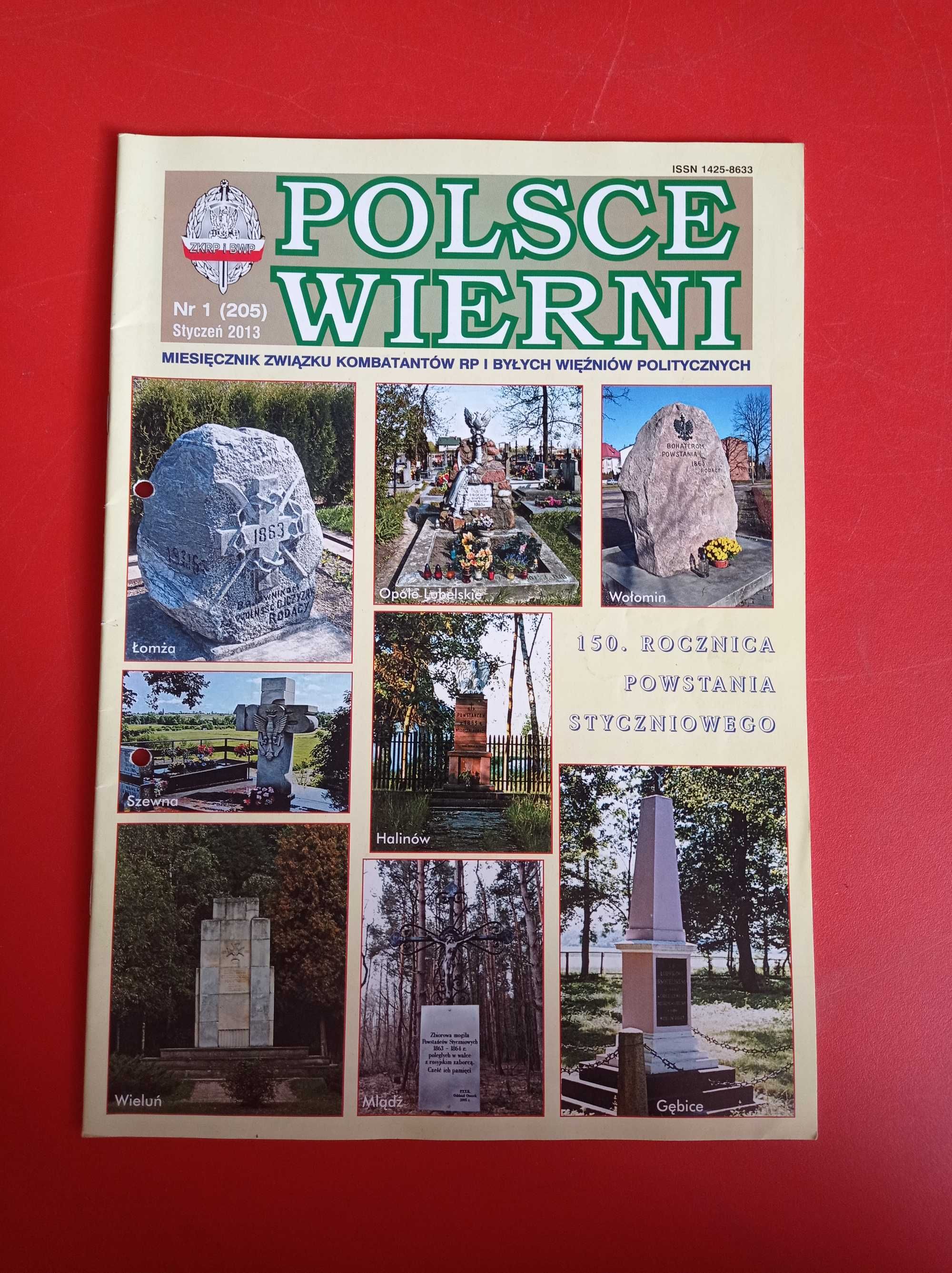 Polsce wierni nr 1/2013, styczeń 2013