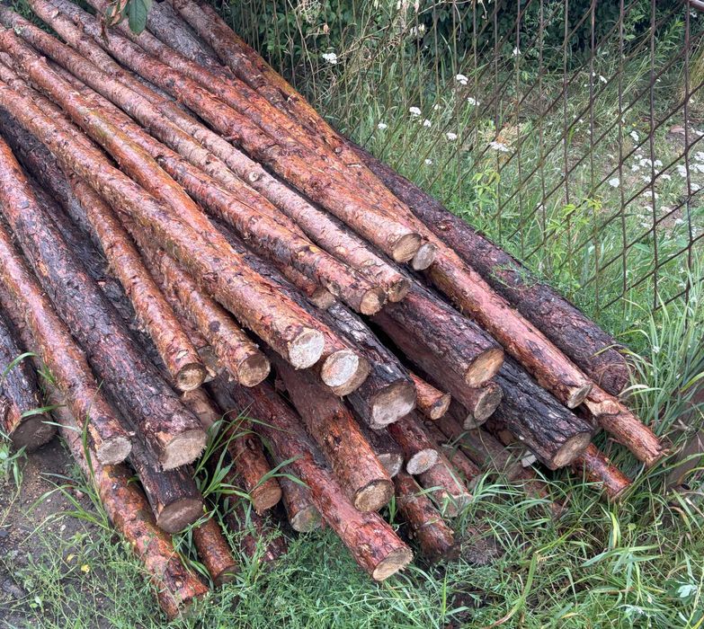 Sprzedam stemple drewniane budowlane