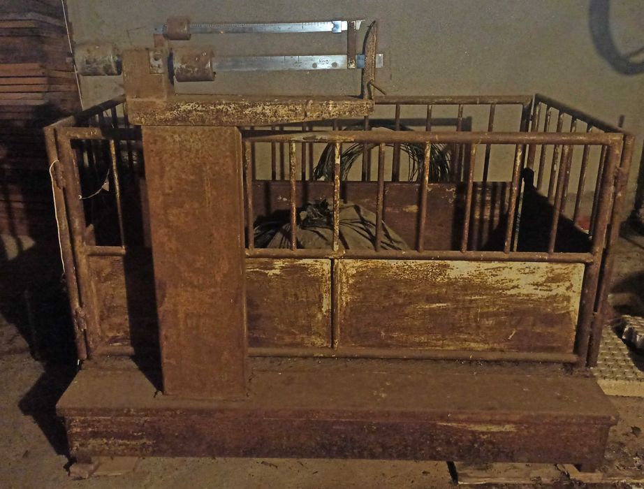 Balança de pesagem de animais