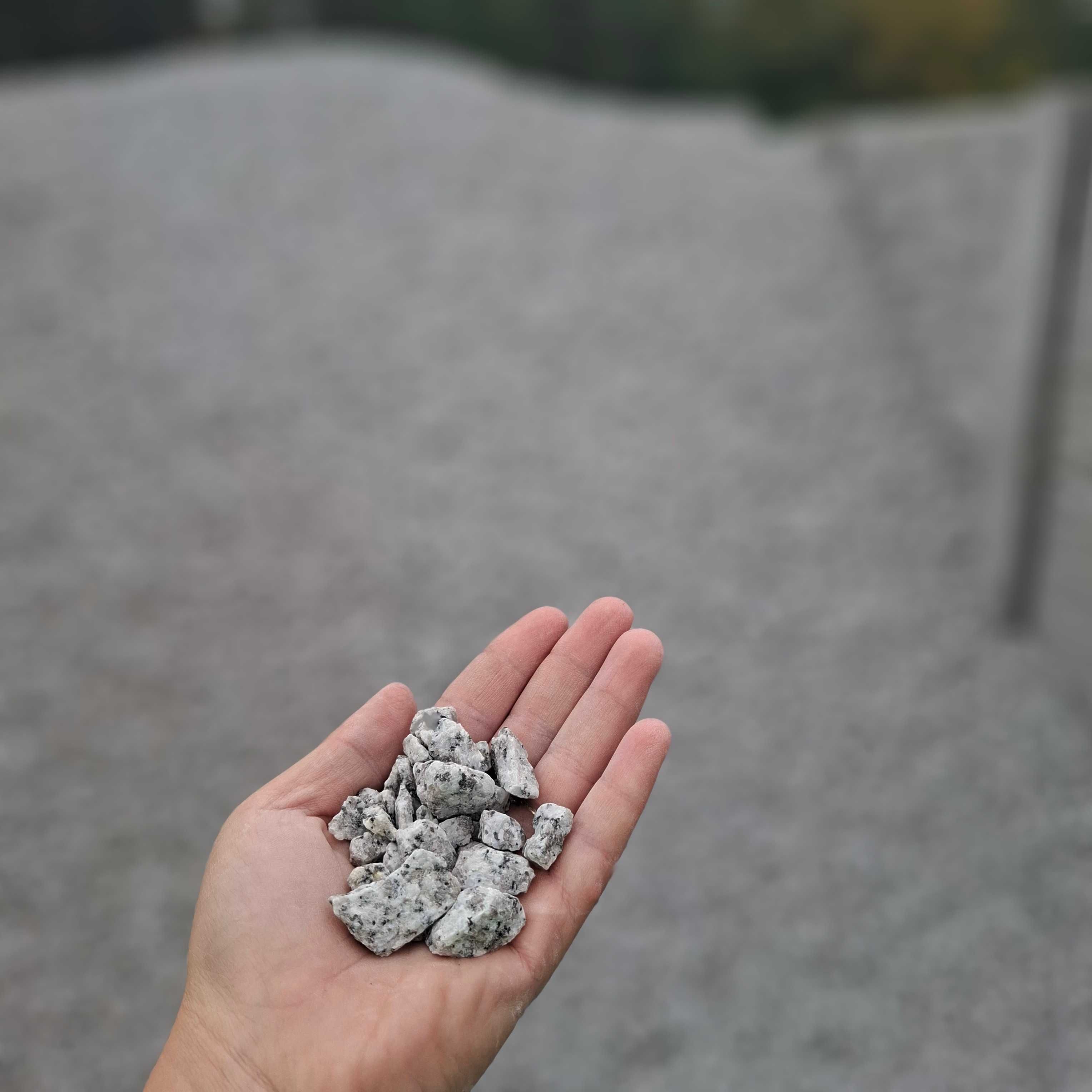 Grys Granitowy. Grys Dalmatyńczyk. Kamień do Ogrodu. Grys szary.