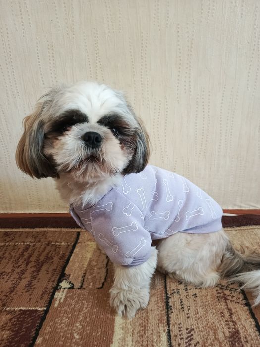 Одяг для собак до 10кг