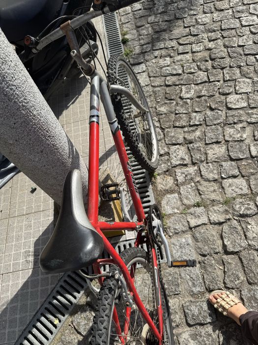 Bicleta jovem/adulto
