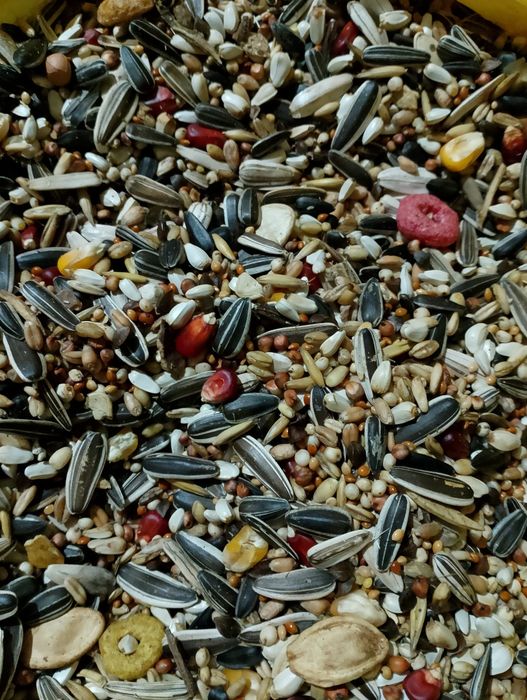 Karma dla papug dużych 10kg