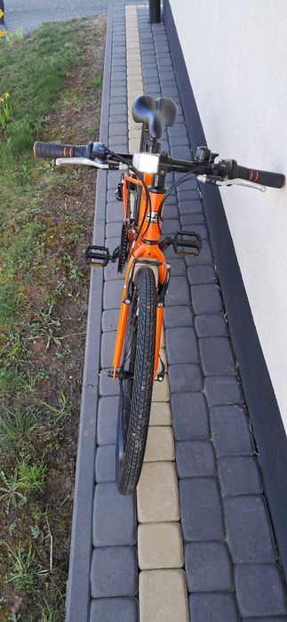 Rower Carrera kola 24"