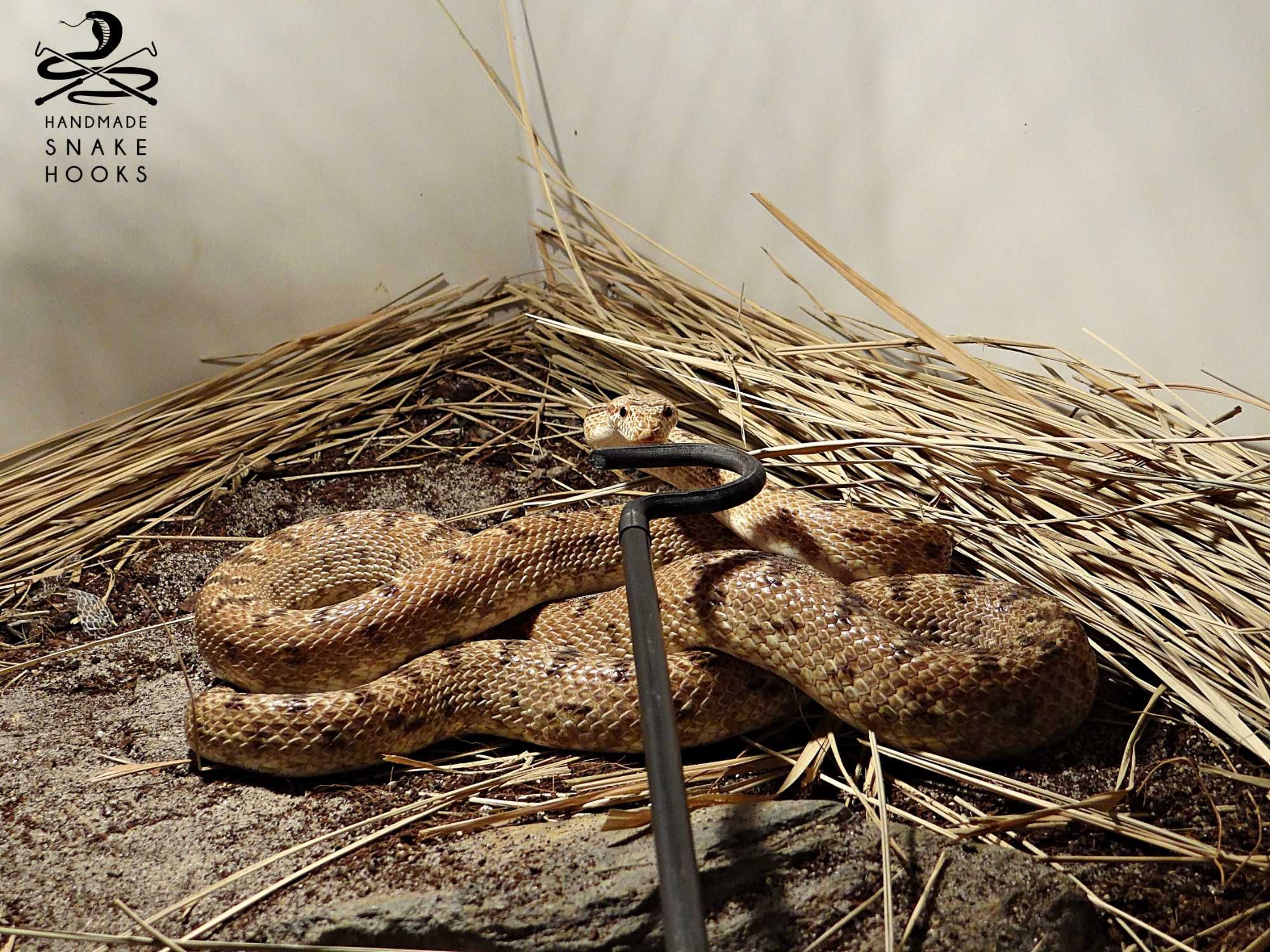 karbonowy hak ofiologiczny / snake hook / 60cm