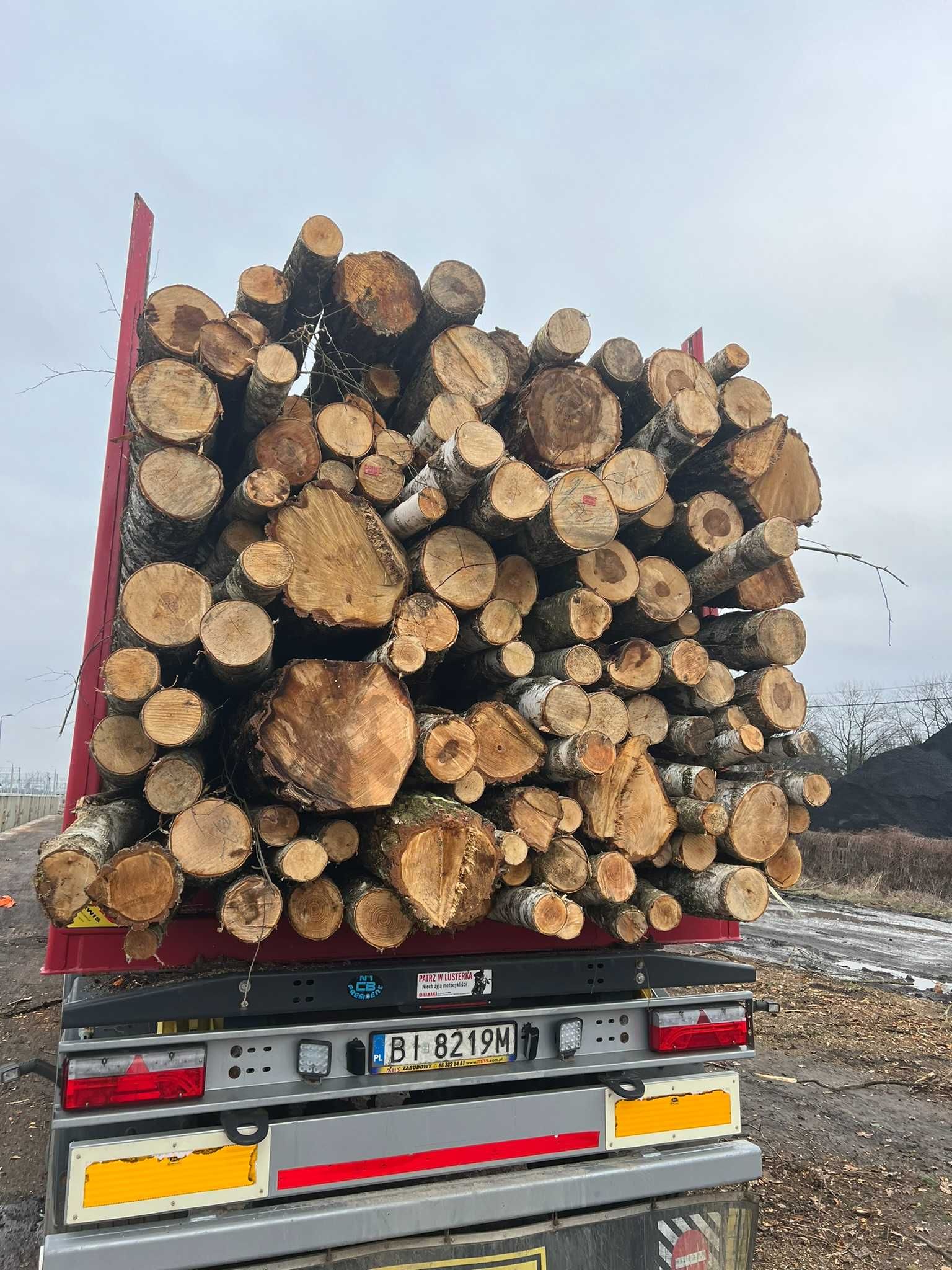 Drewno opałowe. Darmowy transport