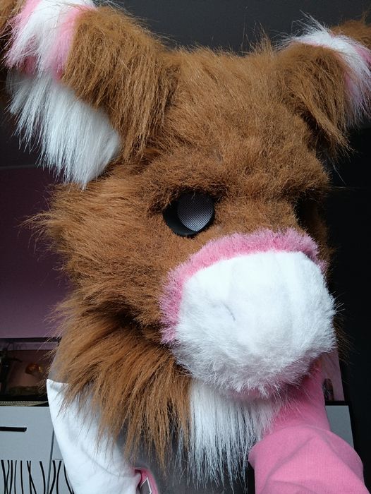 Офурка рапторів фуррі