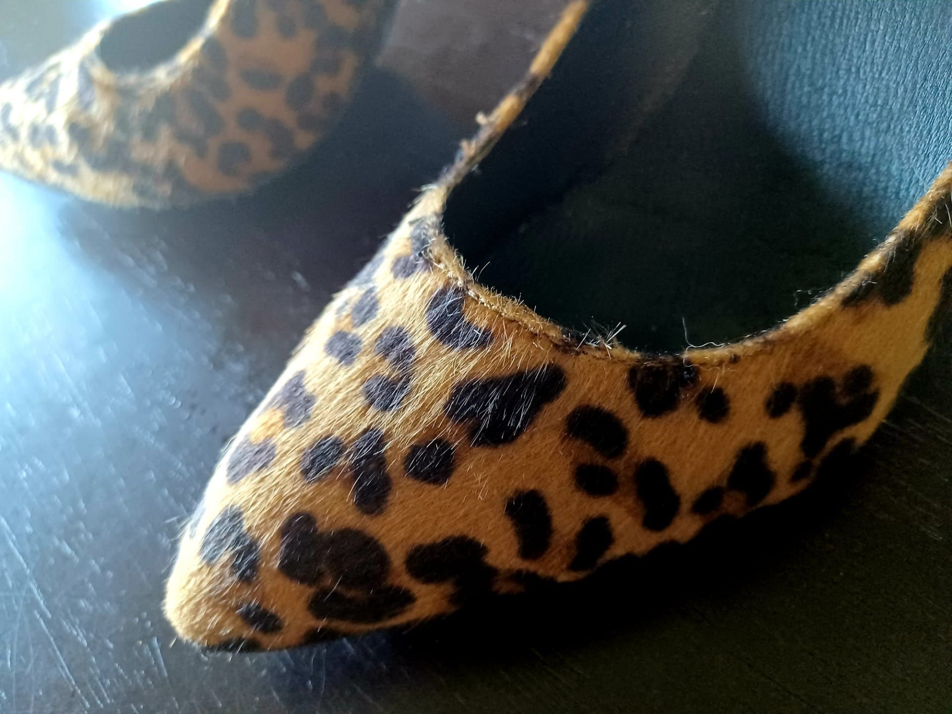 Sapatos estampado tigre LCŔ