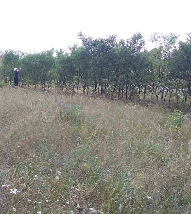 Działka budowlana 900m  Mazury Karwik, PZP, media