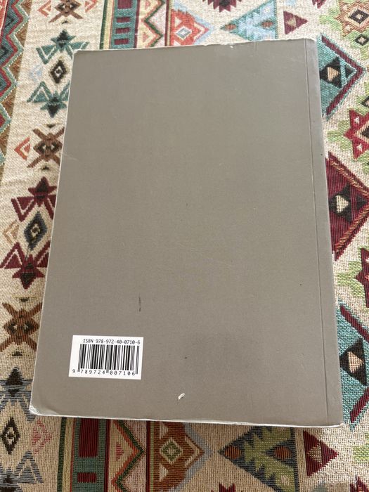 A parte geral do código civil português - teoria geral do dto civil