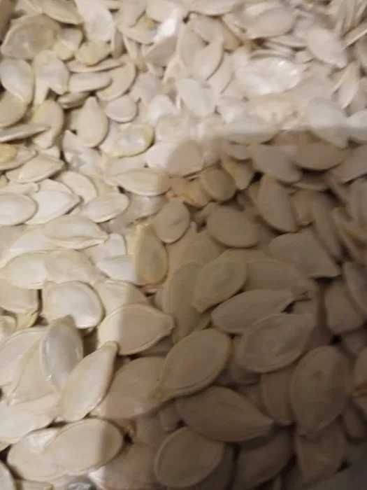 Насіння гарбуза, семечки. Доставка в Чернігів безкоштовно.