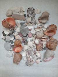 Морские ракушки,кораллы, камушки для декора,самоделкилибо аквариума