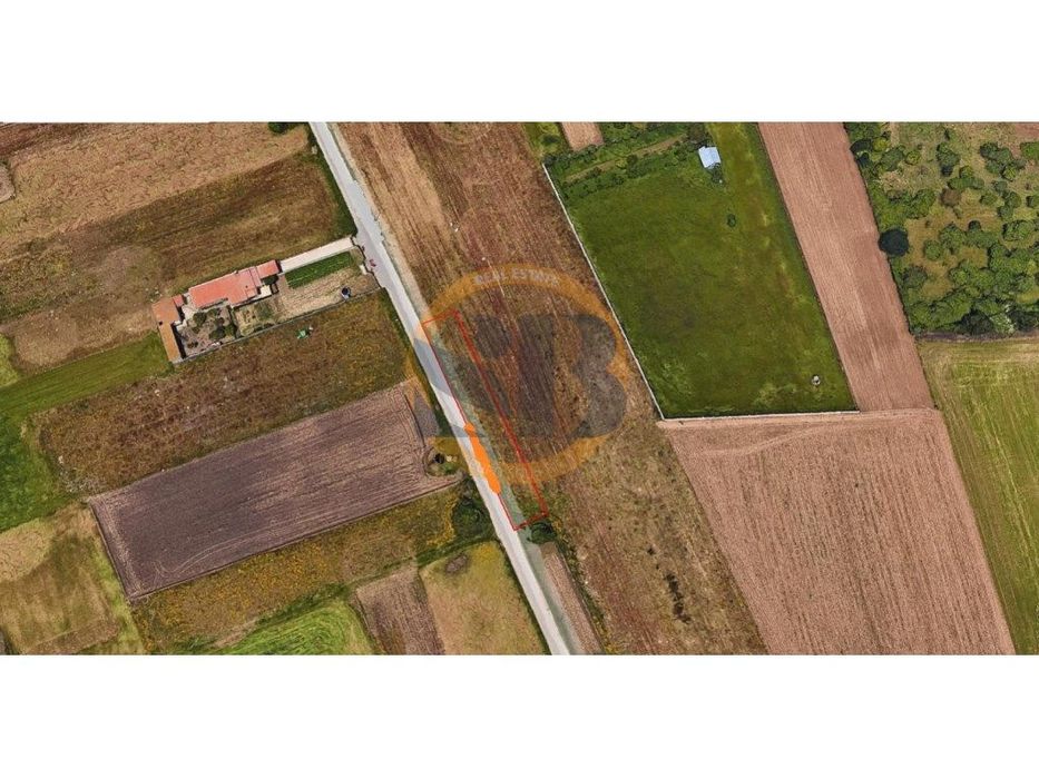 Terreno Rústico Válega Ovar