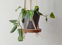 Suporte para vasos em Macramé