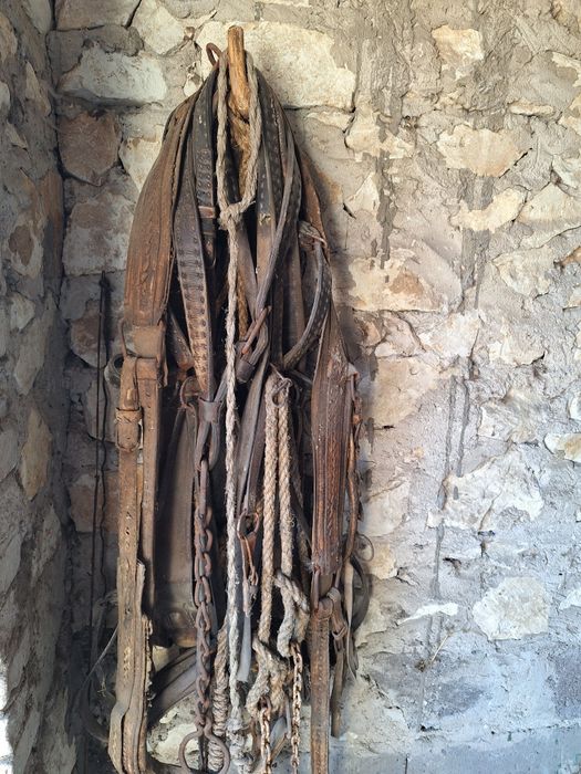 Robocza uprząż dla konia