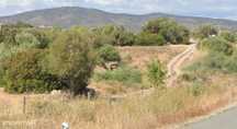 Terreno Zona Industrial Olhão C/ 34.489M2
