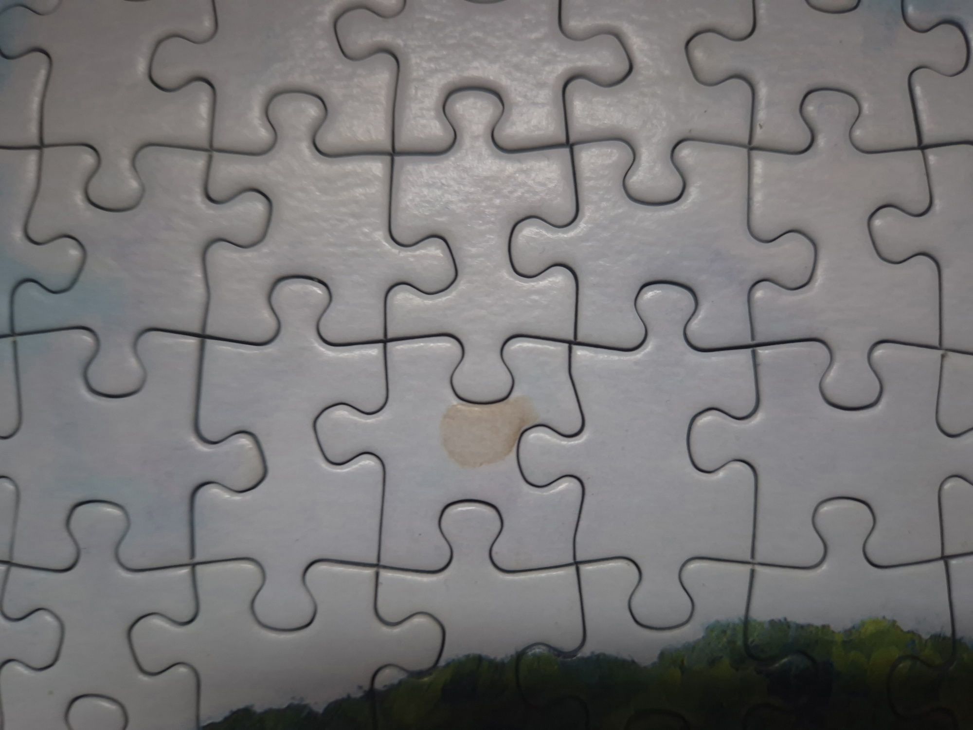 Puzzle Jumbo 1000 "Floral Fantasy"