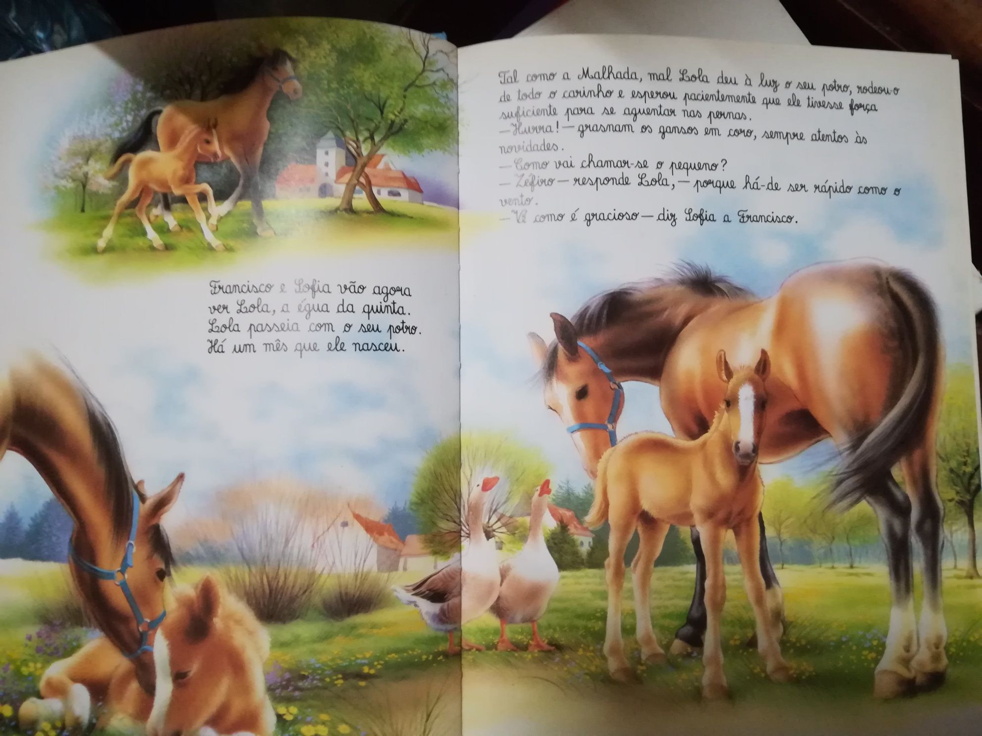 Livro O Mundo dos Animais