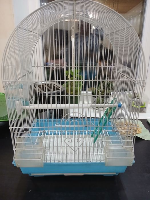 Клітка для папуги б/у