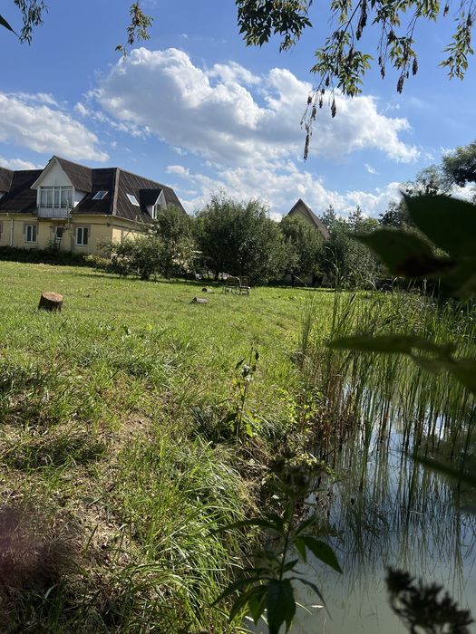 Будинок з власним озером у Великій Солтанівці