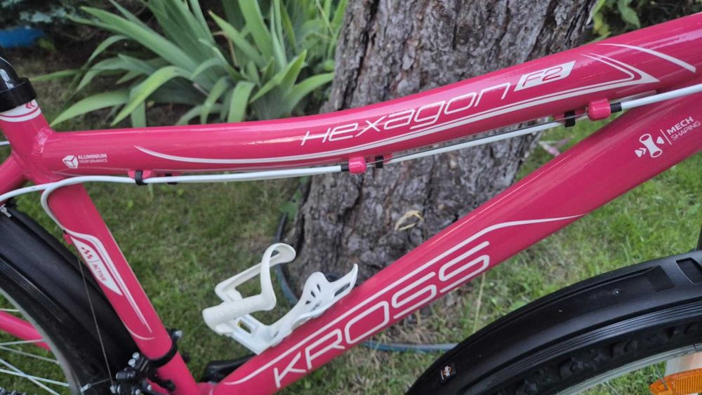 Rower Kross Hexagon F2