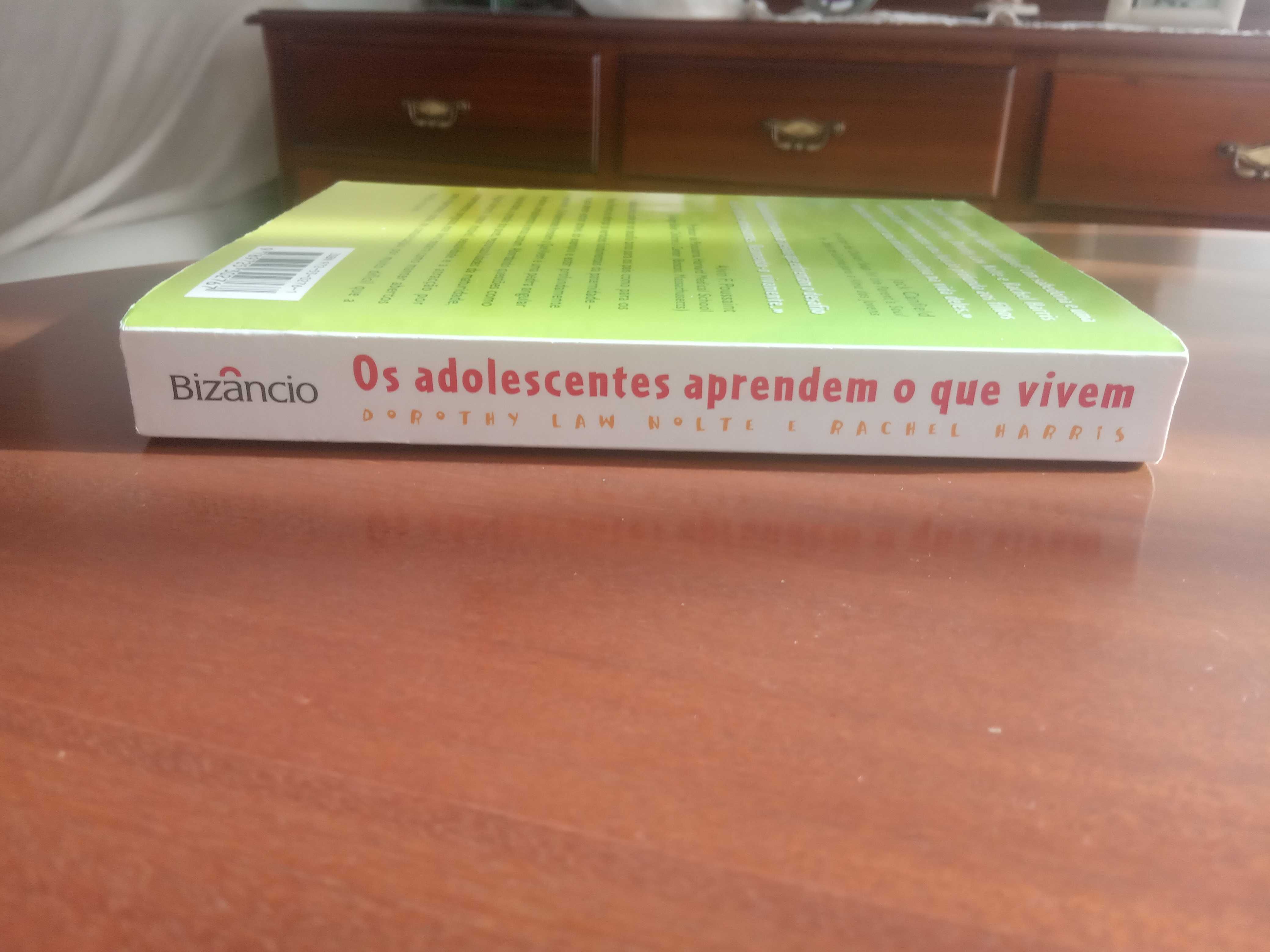 Livro - Os adolescentes aprendem o que vivem