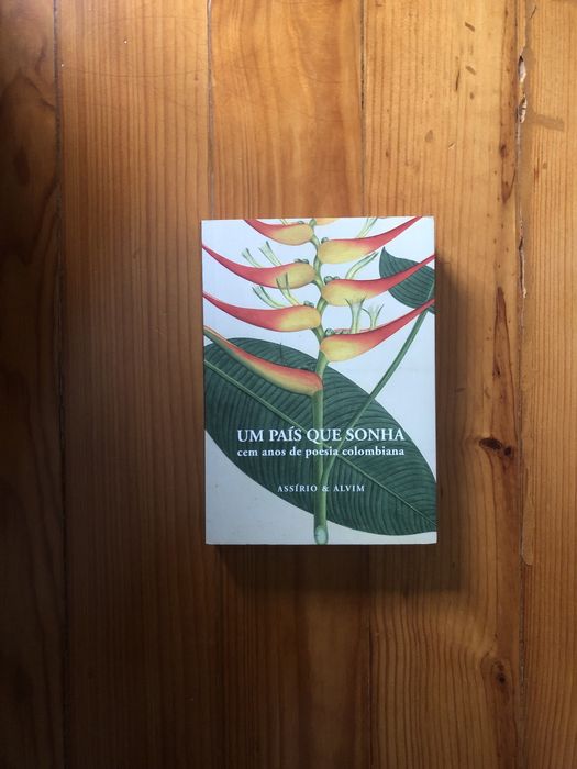 Um País Que Sonha poesia colombiana