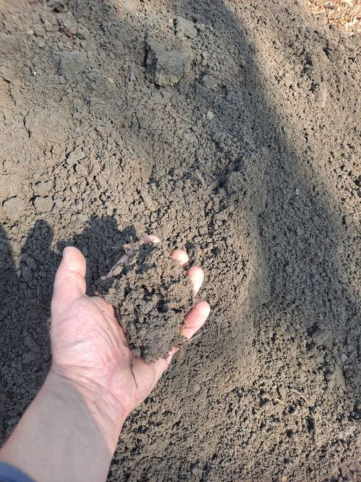 Ziemia ogrodowa siana pod trawnik warzywa do ogrodu, humus czarnoziem