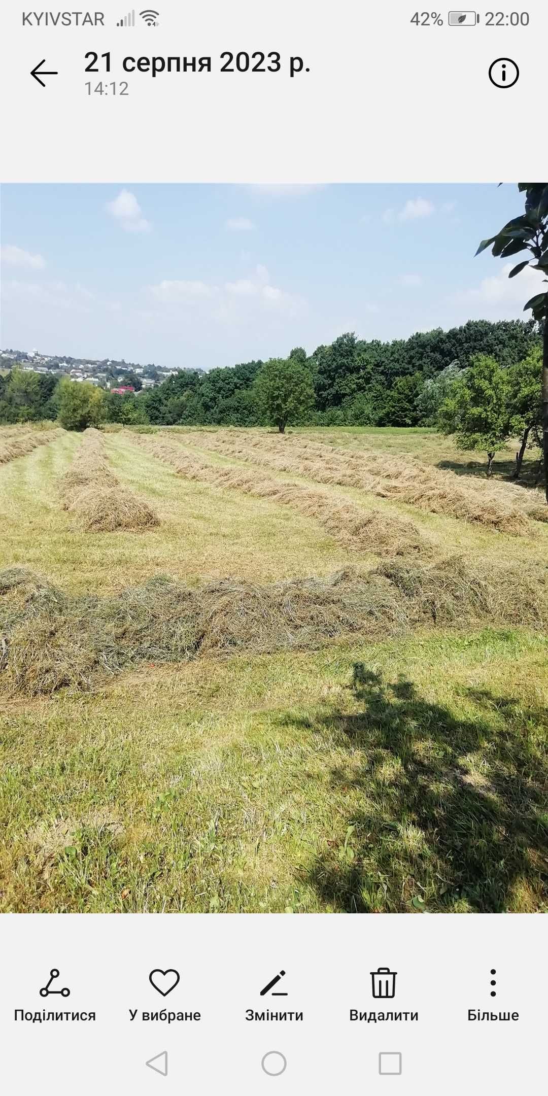 Продаю сіно в тюках