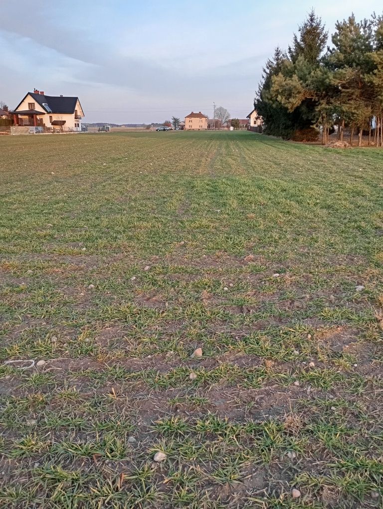Działki na sprzedaż