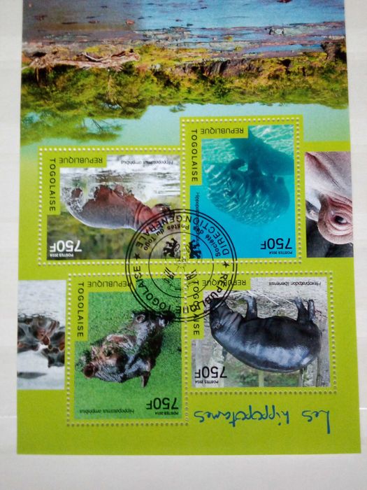 Znaczki pocztowe - 254 zestaw - fauna