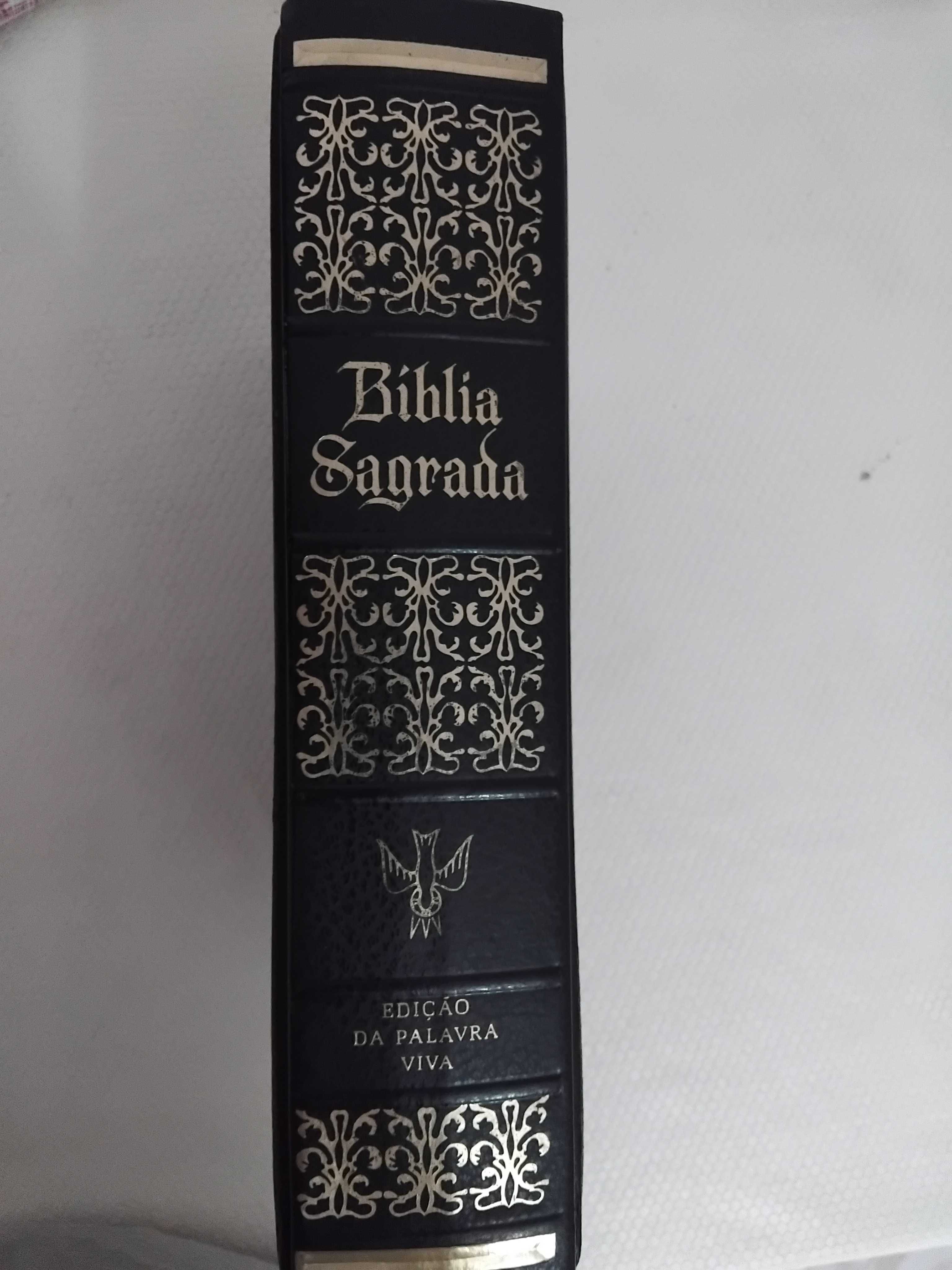 Biblia Edição Palavra Viva 1974