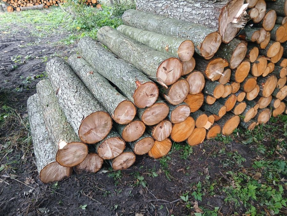 Drewno olszowe, kominkowe