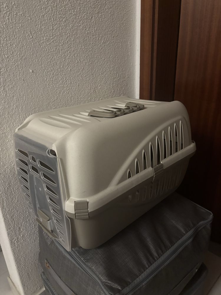 Transportadora gato