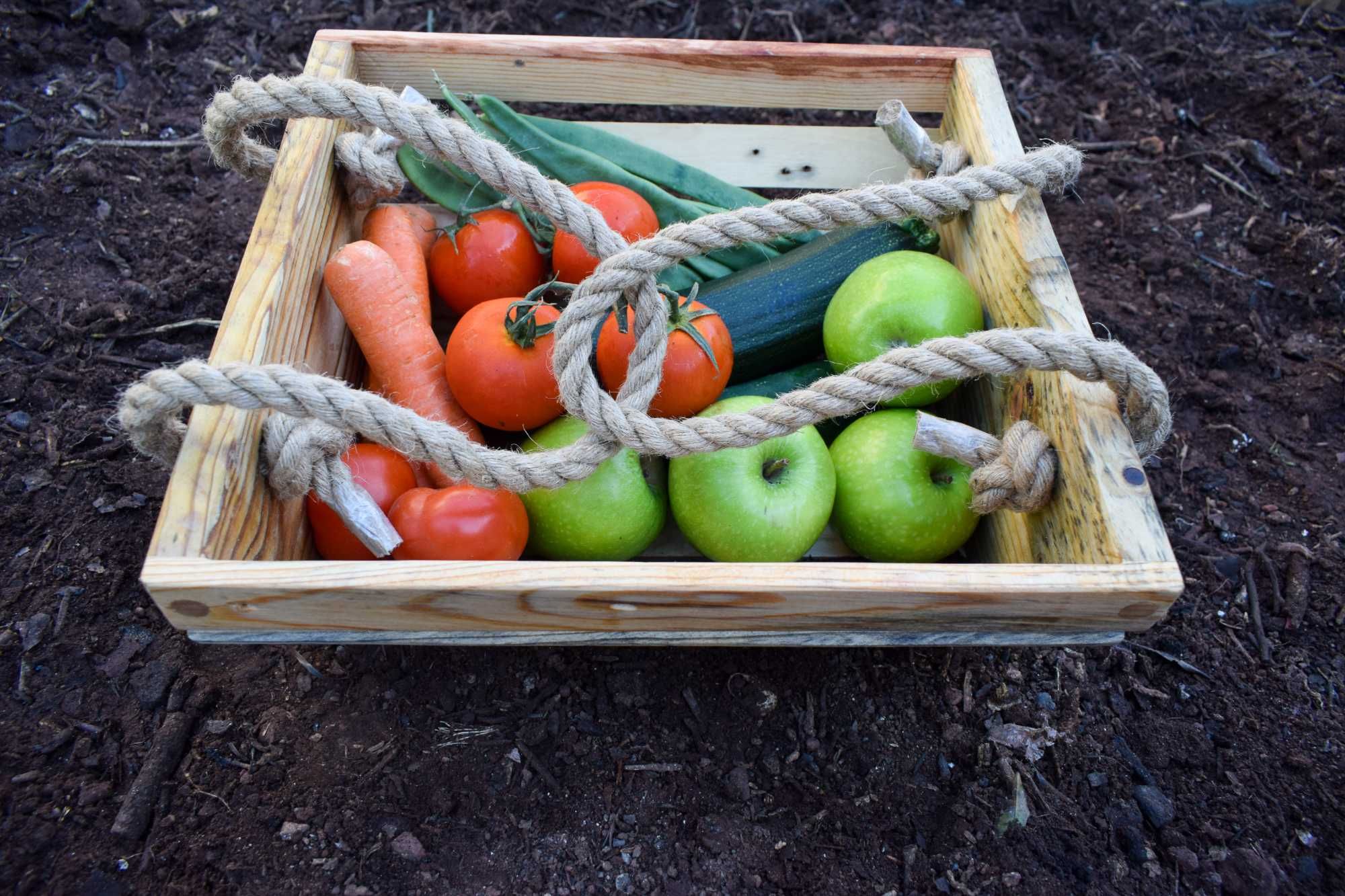 NaturaBasket: The Sustainable Reclaimed Wood Hanging Basket