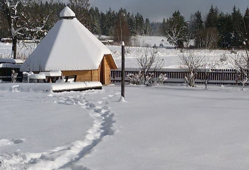 Mieszkania  do wynajęcia
