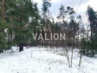 Продаж земельної ділянки 0,81 га Вишгородський р-н Лебедівка, без %