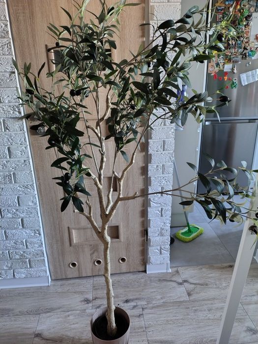 Sprzedam sztuczne drzewko oliwne