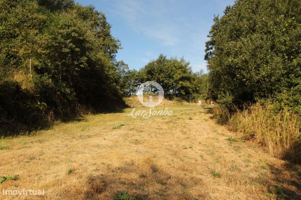 Terreno rústico, para venda, Fafe - Monte e Queimadela