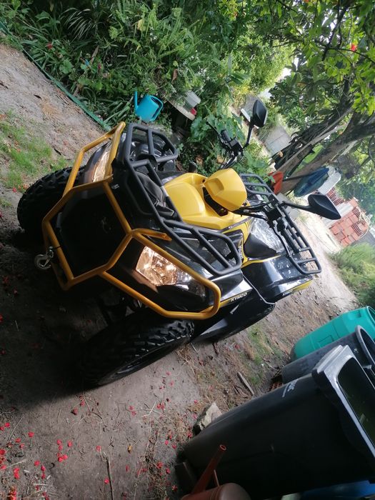 Moto 4 - 300 cc (03/2025)
